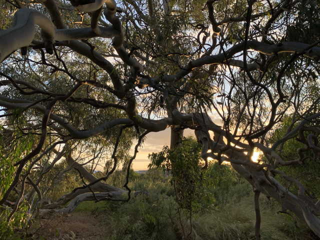 Dooliebeal Reserve