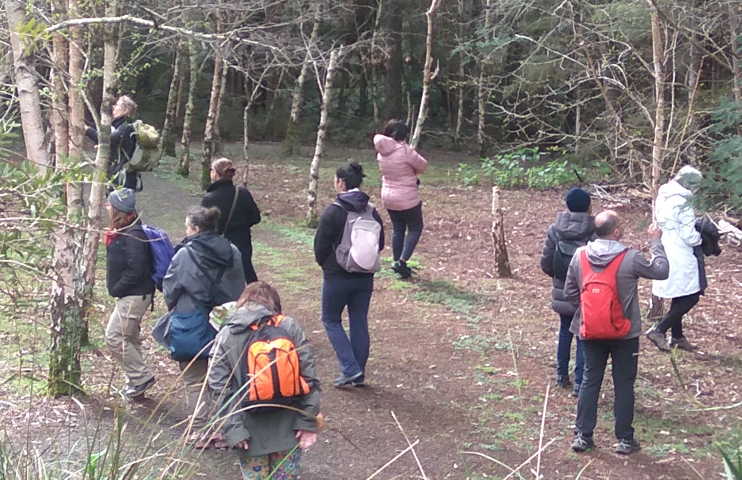 Forest Therapy Guide Training - Pallotti College