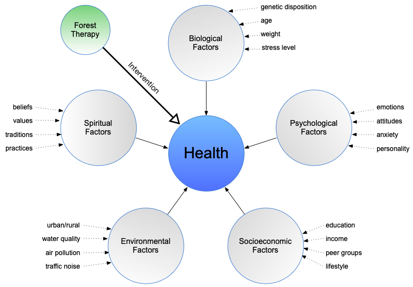 INFTA extended model of public health